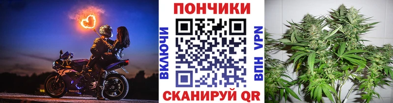 Канабис гибрид продажа наркотиков Нижнекамск